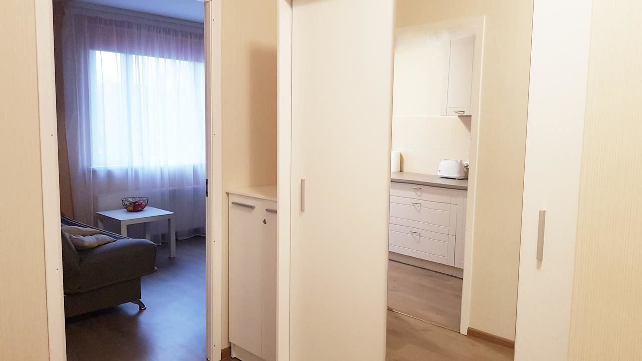 Апартаменты Birch view apartment Елгава