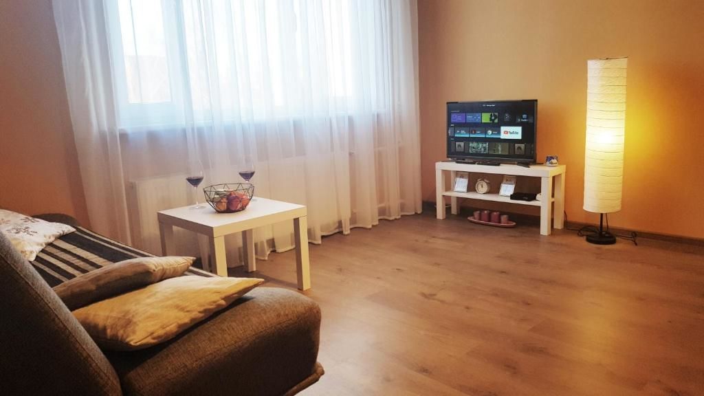 Апартаменты Birch view apartment Елгава