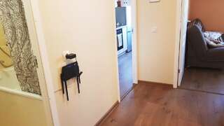 Апартаменты Birch view apartment Елгава Апартаменты с 1 спальней-11