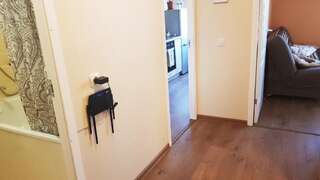 Апартаменты Birch view apartment Елгава Апартаменты с 1 спальней-16