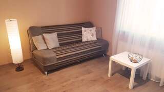 Апартаменты Birch view apartment Елгава Апартаменты с 1 спальней-2