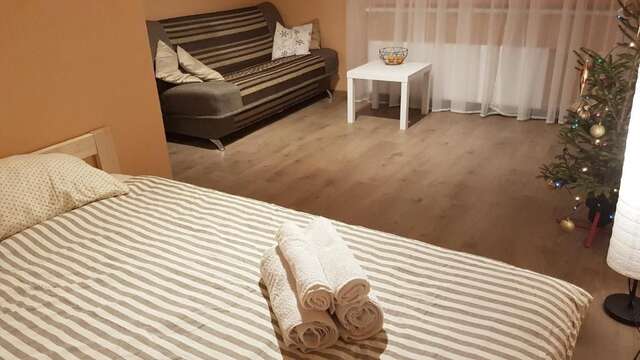 Апартаменты Birch view apartment Елгава-25